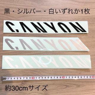 Canyon キャニオン ステッカー 約30cmサイズ(自転車本体)