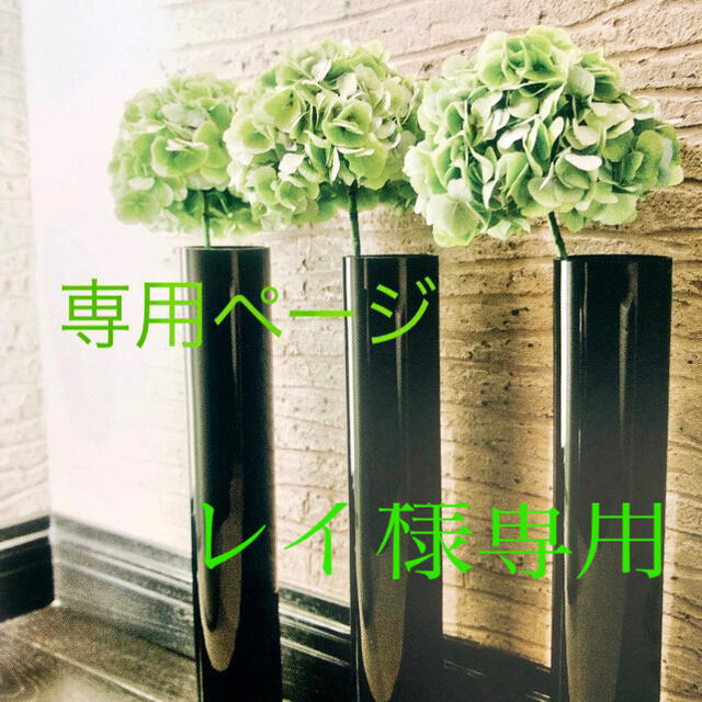 レイ様専用です₊⁎⁺˳✧༚ 本物品質の 72.0%OFF noxcapital.de
