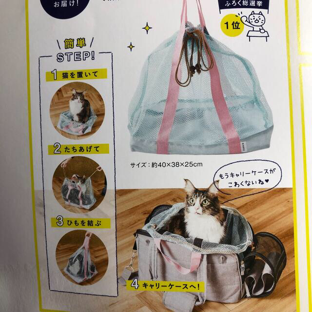 ねこのきもち　2021・3月・4月号　【新品　未使用付録付き】 エンタメ/ホビーの雑誌(専門誌)の商品写真