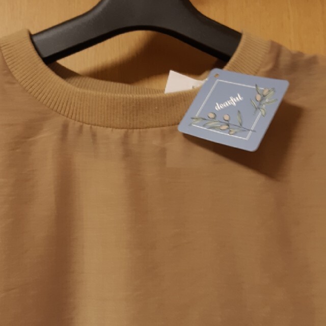 しまむら(シマムラ)の［新品未使用］ノースリーブ付きサテン　シースルー レディースのトップス(Tシャツ(半袖/袖なし))の商品写真