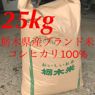 【R2年度古米・玄米】指定有料農地で採れた栃木県産ブランド米コシヒカリ 25kg(米/穀物)
