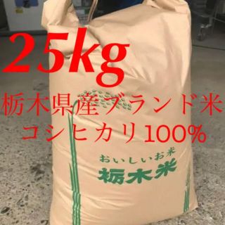 【R2年度古米・玄米】指定有料農地で採れた栃木県産ブランド米コシヒカリ 25kg(米/穀物)