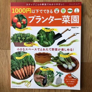 1000円以下でできるプランター菜園(趣味/スポーツ/実用)