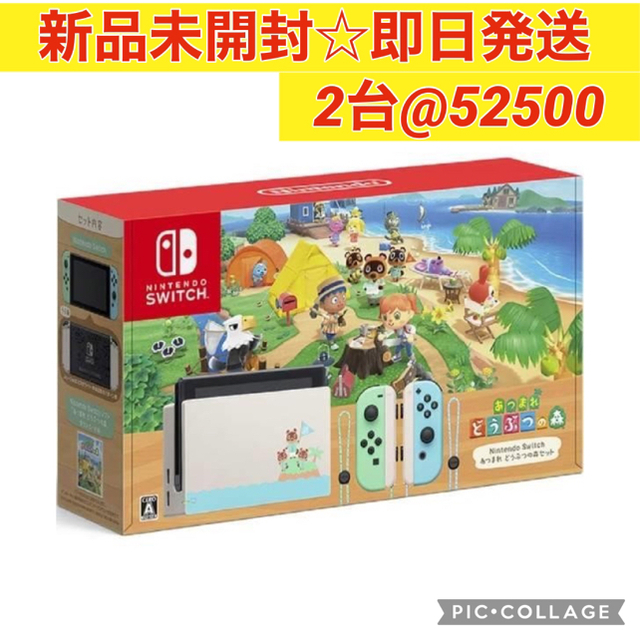 あつまれどうぶつの森セット Nintendo Switch スイッチ 2台