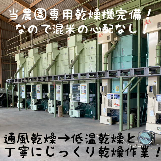 令和3年新米 自然栽培米 精米5kg 農薬肥料不使用 コシヒカリ  食品/飲料/酒の食品(米/穀物)の商品写真