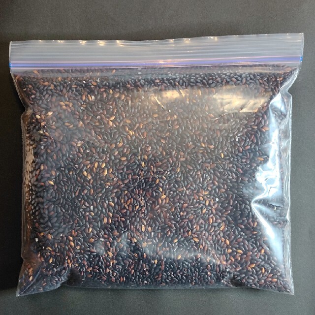 黒米(朝紫)玄米 700g 食品/飲料/酒の食品(米/穀物)の商品写真