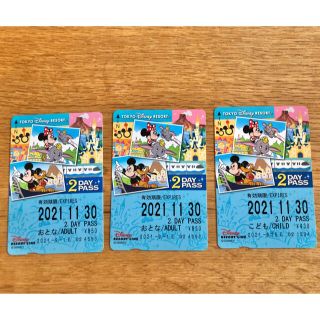 ディズニー(Disney)のディズニーリゾートライン☆2day pass(遊園地/テーマパーク)