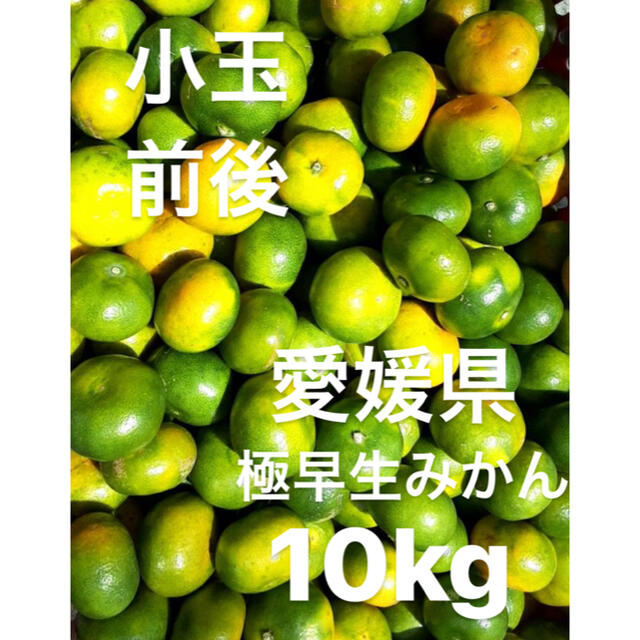 愛媛県産　極早生みかん　小玉前後　傷スレあり　10kg 食品/飲料/酒の食品(フルーツ)の商品写真