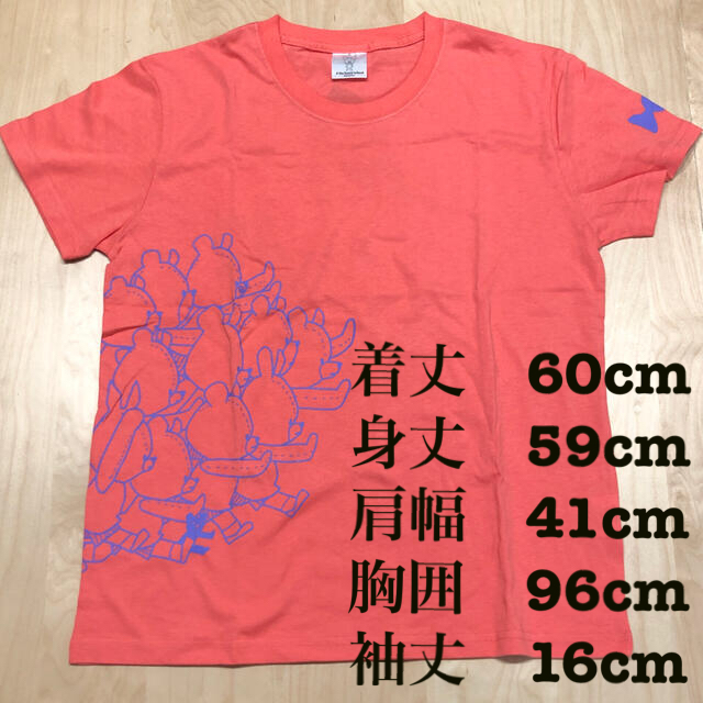 くまのがっこう(クマノガッコウ)の【最終値下げ】くまのがっこう　半袖Ｔシャツ　キャンディ　未使用品 レディースのトップス(Tシャツ(半袖/袖なし))の商品写真