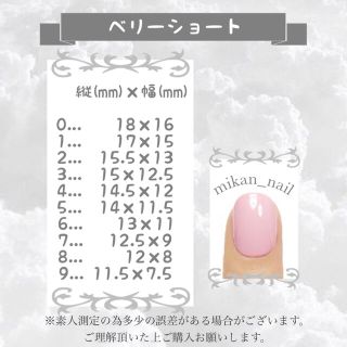 (#17) ネイルチップ : オーダー コスメ/美容のネイル(つけ爪/ネイルチップ)の商品写真