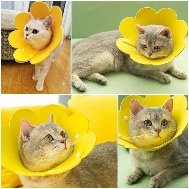エリザベスカラー 花 ペット用 保護具 カバー 黄色 イエロー Lサイズ その他のペット用品(猫)の商品写真