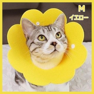 エリザベスカラー 花 ペット用 保護具 カバー 黄色 イエロー Mサイズ(猫)