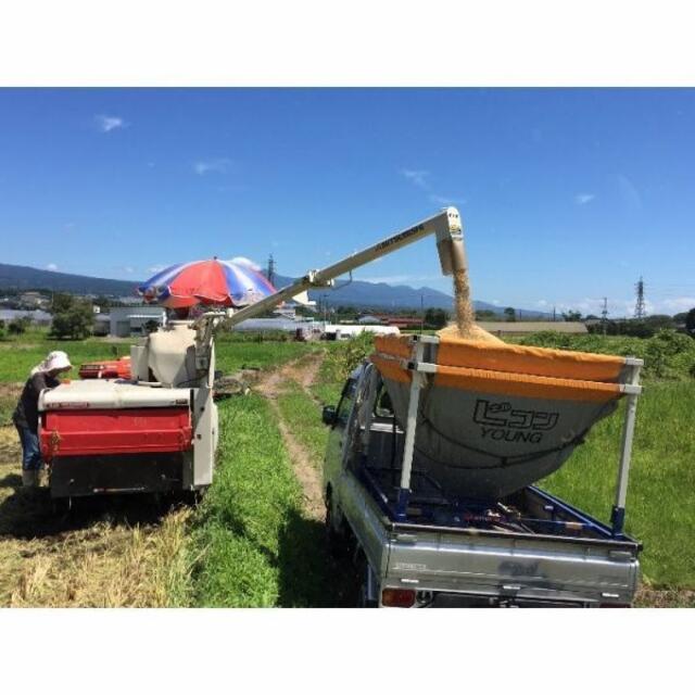 新米　令和3年　富士山コシヒカリ　単一原料米　農家直送 5kg 食品/飲料/酒の食品(米/穀物)の商品写真