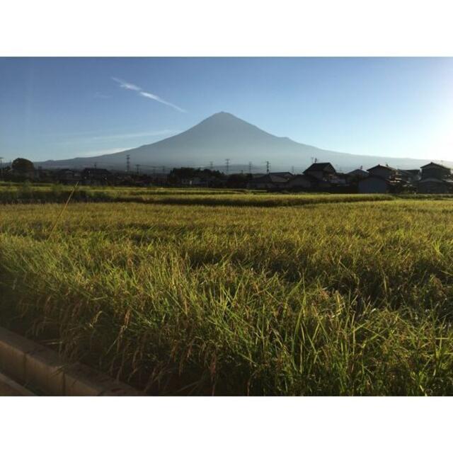 新米　令和3年　富士山コシヒカリ　単一原料米　農家直送 5kg 食品/飲料/酒の食品(米/穀物)の商品写真