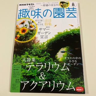 NHK 趣味の園芸 2021年 08月号(その他)