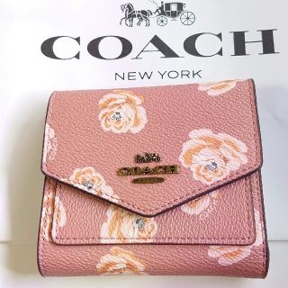 コーチ(COACH)のCOACH スモールウォレット ピンクローズ 新品未使用(財布)