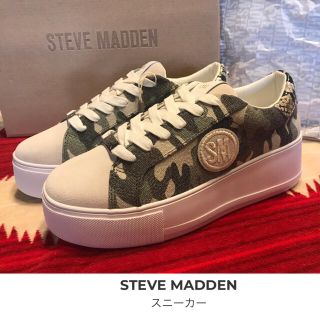 スティーブマデン(Steve Madden)のけー様(スニーカー)