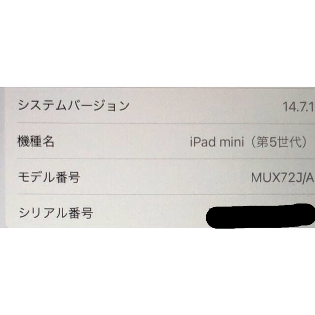 iPad mini5 WI-FI+cellularモデル　64GB