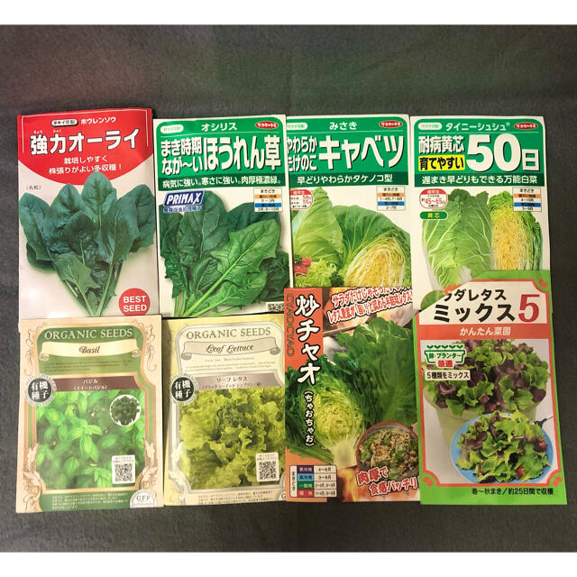 選べる野菜の種 5種類セット　おまけつき 食品/飲料/酒の食品(野菜)の商品写真