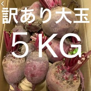 数限定　訳あり 大玉サイズ 北海道　江別産　無農薬　オーガニック　ビーツ　5kg(野菜)