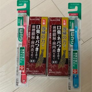 サンスター(SUNSTAR)の生薬　当帰の力で　口臭ネバつきを伴う　歯槽膿漏・歯肉炎を防ぐ　サンスター(歯磨き粉)