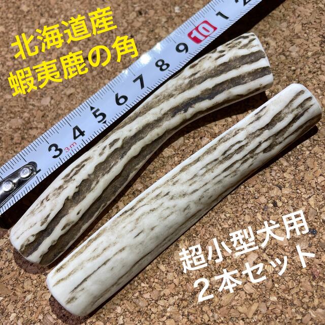 鹿の角　犬のおもちゃ　北海道産　　　　　　　　　　　　　　超小型犬用　2本セット その他のペット用品(犬)の商品写真