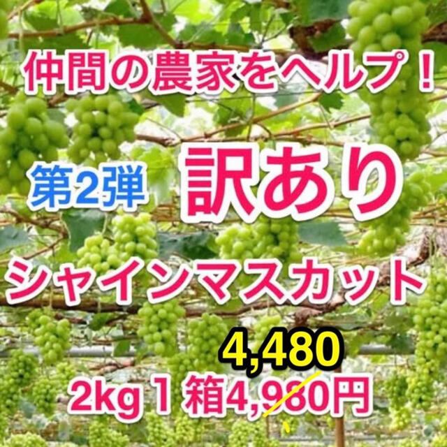 ◆そろそろ最終！仲間の葡萄農家ヘルプ（山梨産）訳ありシャインマスカット２キロ箱 食品/飲料/酒の食品(フルーツ)の商品写真