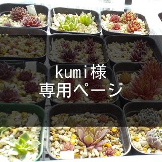 kumi 様 専用ページです(その他)