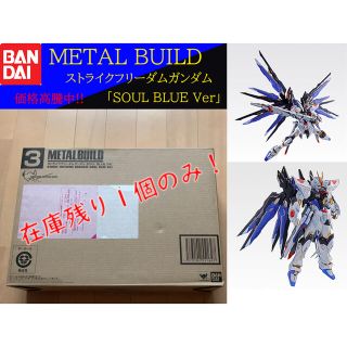 バンダイ(BANDAI)のMETAL BUILD ストライクフリーダムガンダム SOUL BLUE(模型/プラモデル)