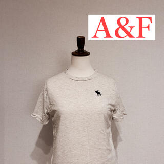 アバクロンビーアンドフィッチ(Abercrombie&Fitch)のA&F 半袖レディースS 『お値下げ』(シャツ/ブラウス(半袖/袖なし))