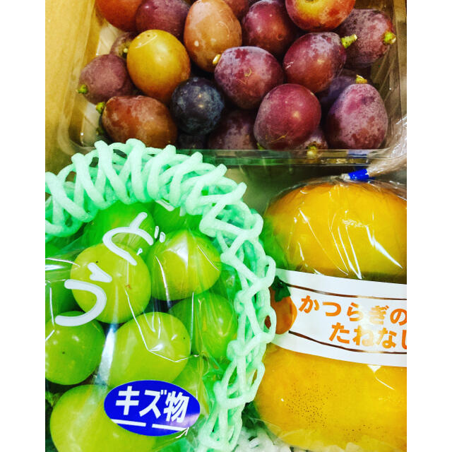 本日限定！和歌山の家庭用果物詰め合わせ！沖縄北海道離島への発送はできません 食品/飲料/酒の食品(フルーツ)の商品写真