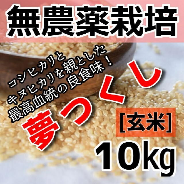 令和3年産令和3年産 新米 無農薬栽培米 夢つくし 玄米 10kg