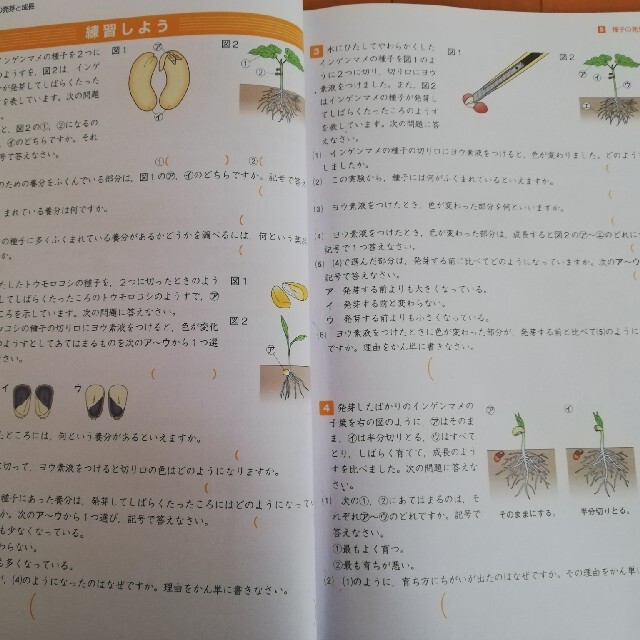 能開センター　難関校突破　ハイグレード　メインテキストコア　小5　理科　解答解説 エンタメ/ホビーの本(語学/参考書)の商品写真