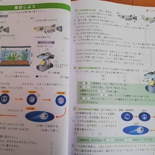 能開センター　難関校突破　ハイグレード　メインテキストコア　小5　理科　解答解説 エンタメ/ホビーの本(語学/参考書)の商品写真