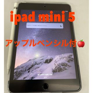 iPad mini 5 64GB スペースグレイ+ Apple pencil