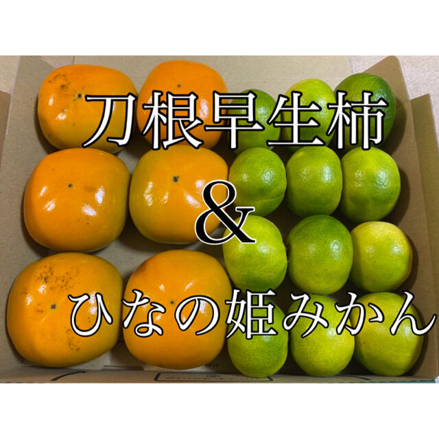 旬のお試し用‼️刀根早生柿　4個〜6個　& 極早生みかん　10個〜12個入り 食品/飲料/酒の食品(フルーツ)の商品写真