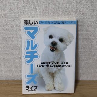 楽しいマルチ－ズライフ この１冊でマルチ－ズとのハッピ－ライフがあなたのも(住まい/暮らし/子育て)