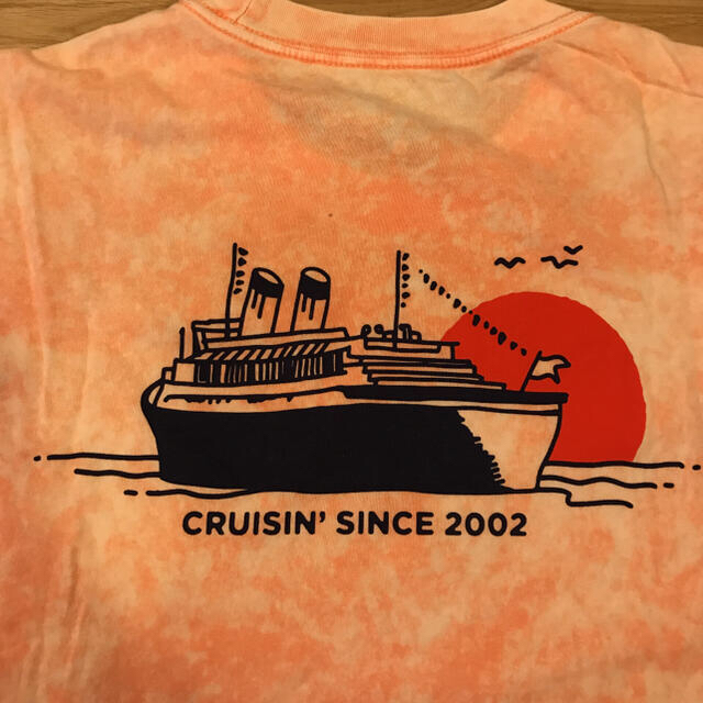 NIKE(ナイキ)のNIKE SB CRUISIN S/S Tシャツ DD1288-693   L メンズのトップス(Tシャツ/カットソー(半袖/袖なし))の商品写真