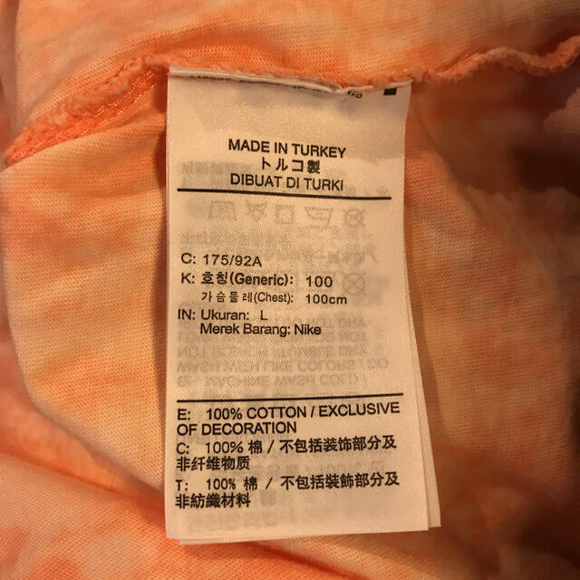 NIKE(ナイキ)のNIKE SB CRUISIN S/S Tシャツ DD1288-693   L メンズのトップス(Tシャツ/カットソー(半袖/袖なし))の商品写真