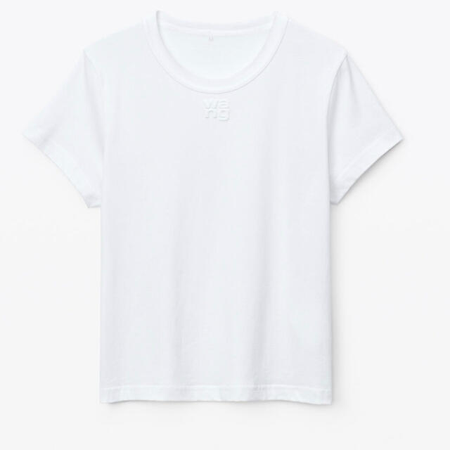 Alexander Wang(アレキサンダーワン)のalexander wangTシャツ メンズのトップス(Tシャツ/カットソー(半袖/袖なし))の商品写真