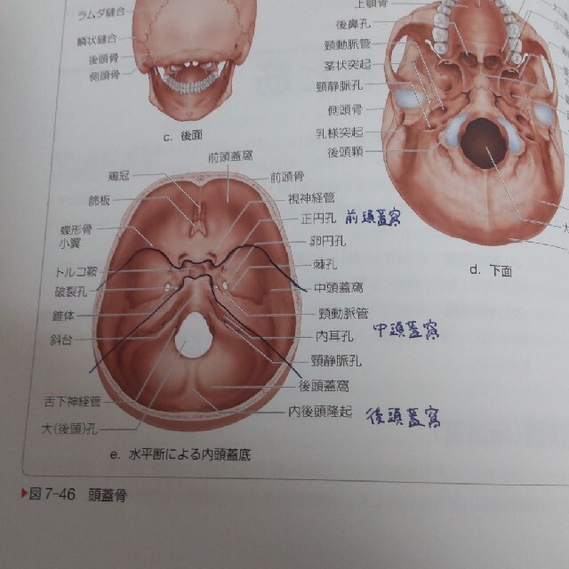 2021年度購入　看護　教科書　参考書　系統看護学講座　看護学生 エンタメ/ホビーの本(健康/医学)の商品写真