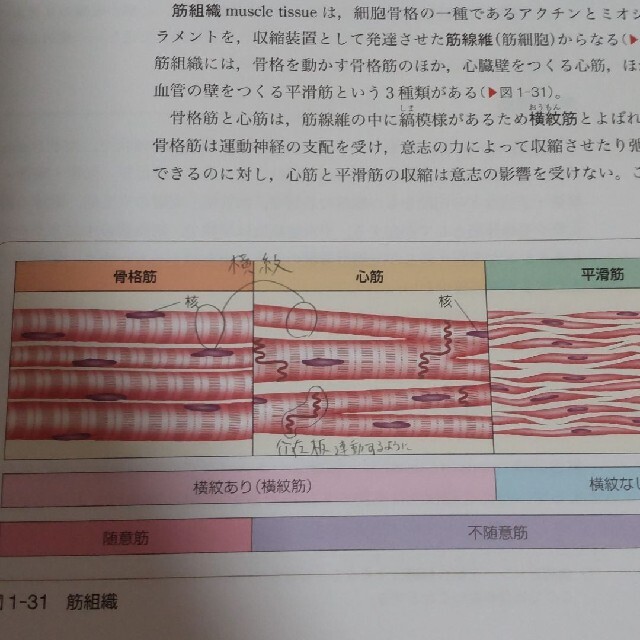 2021年度購入　看護　教科書　参考書　系統看護学講座　看護学生 エンタメ/ホビーの本(健康/医学)の商品写真