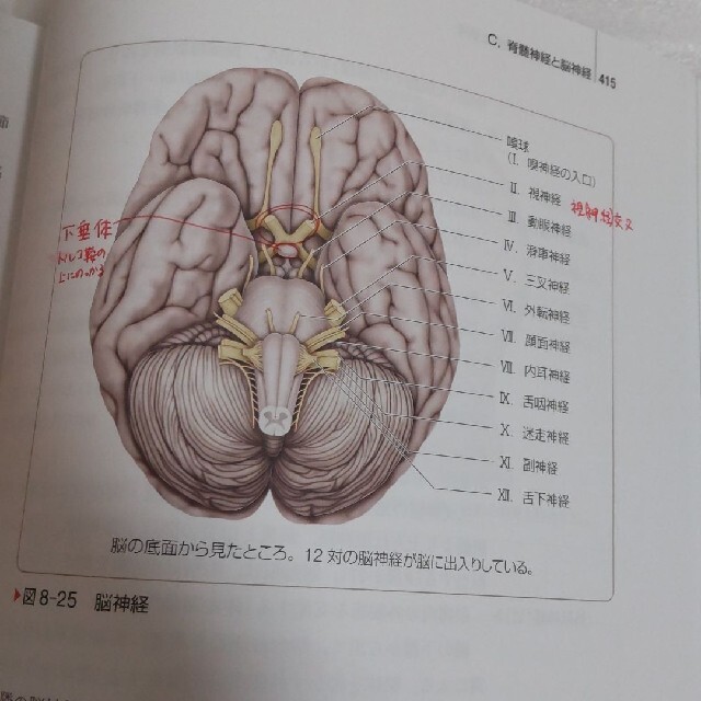 2021年度購入　看護　教科書　参考書　系統看護学講座　看護学生 エンタメ/ホビーの本(健康/医学)の商品写真