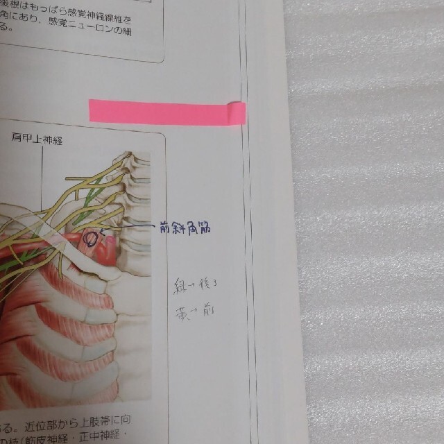 2021年度購入　看護　教科書　参考書　系統看護学講座　看護学生 エンタメ/ホビーの本(健康/医学)の商品写真