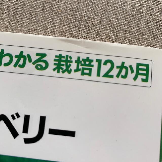 ブル－ベリ－　NHK出版 エンタメ/ホビーの本(趣味/スポーツ/実用)の商品写真