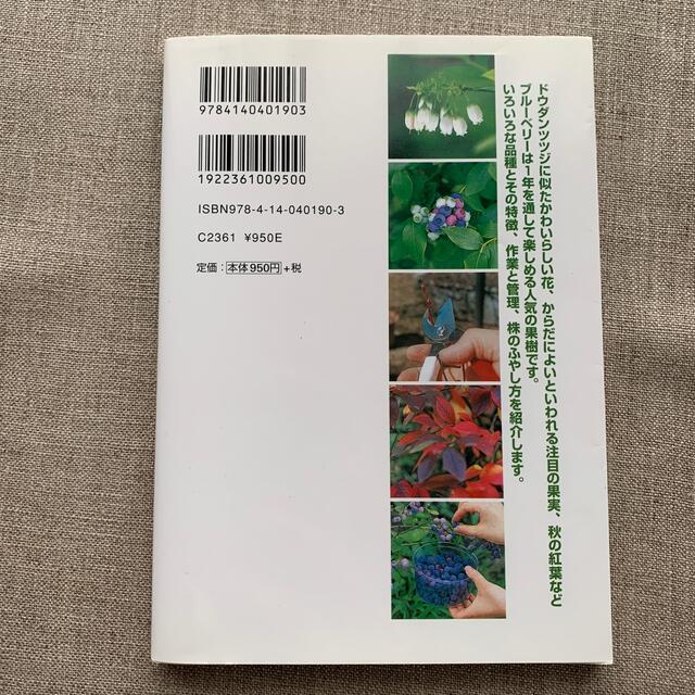 ブル－ベリ－　NHK出版 エンタメ/ホビーの本(趣味/スポーツ/実用)の商品写真