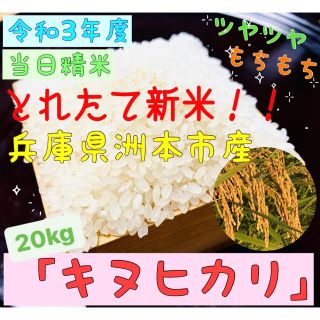 食品/飲料/酒令和３年産キヌヒカリ20kg