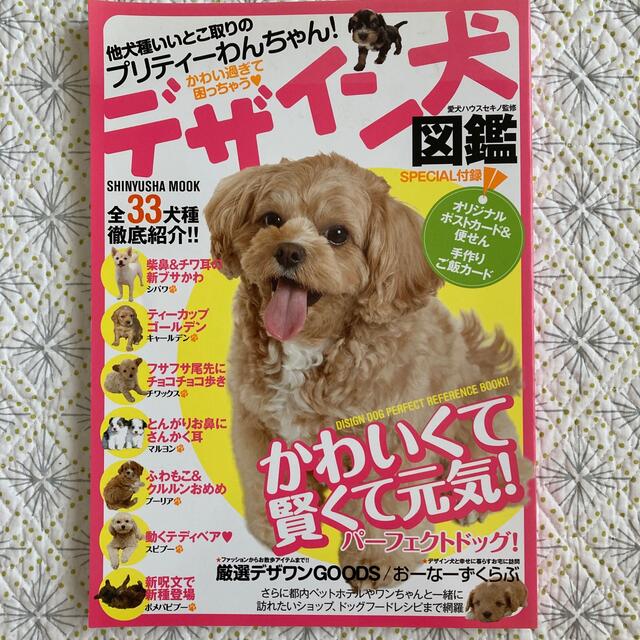 デザイン犬図鑑 他犬種いいとこ取りのプリティ－わんちゃん！ エンタメ/ホビーの本(住まい/暮らし/子育て)の商品写真