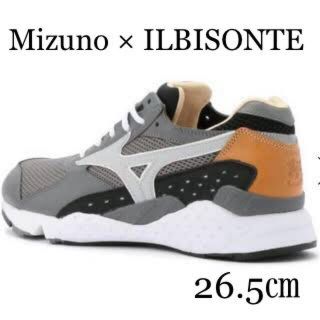 26cm 新品 IL BISONTE MIZUNOMONDO CONTROL