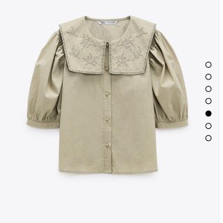 ザラ(ZARA)のエンブロイダリーカラーシャツ(シャツ/ブラウス(半袖/袖なし))